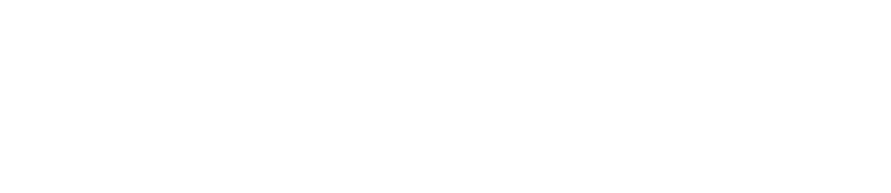 SAFEECO Logo